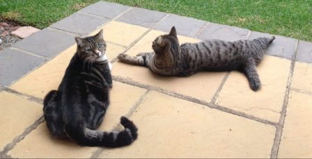 debbiedeconing | BouquetBuzz